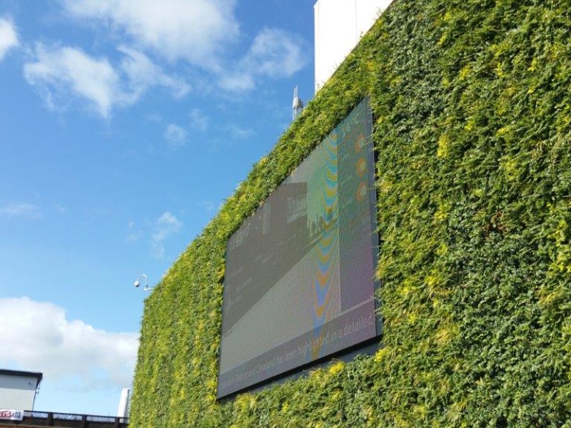 Teesside University Olympia Green Wall