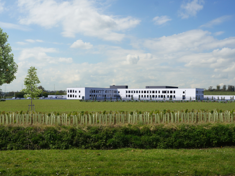 The Reach Free School