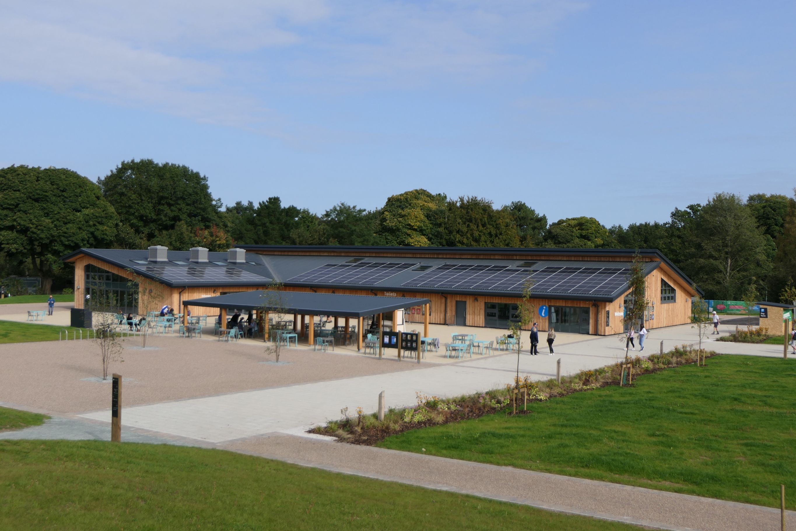 Delamere Forest (1).jpg