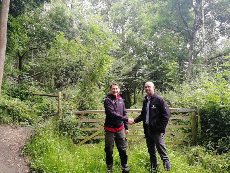 Willmott Dixon commits to planting 100,000 trees over the next decade