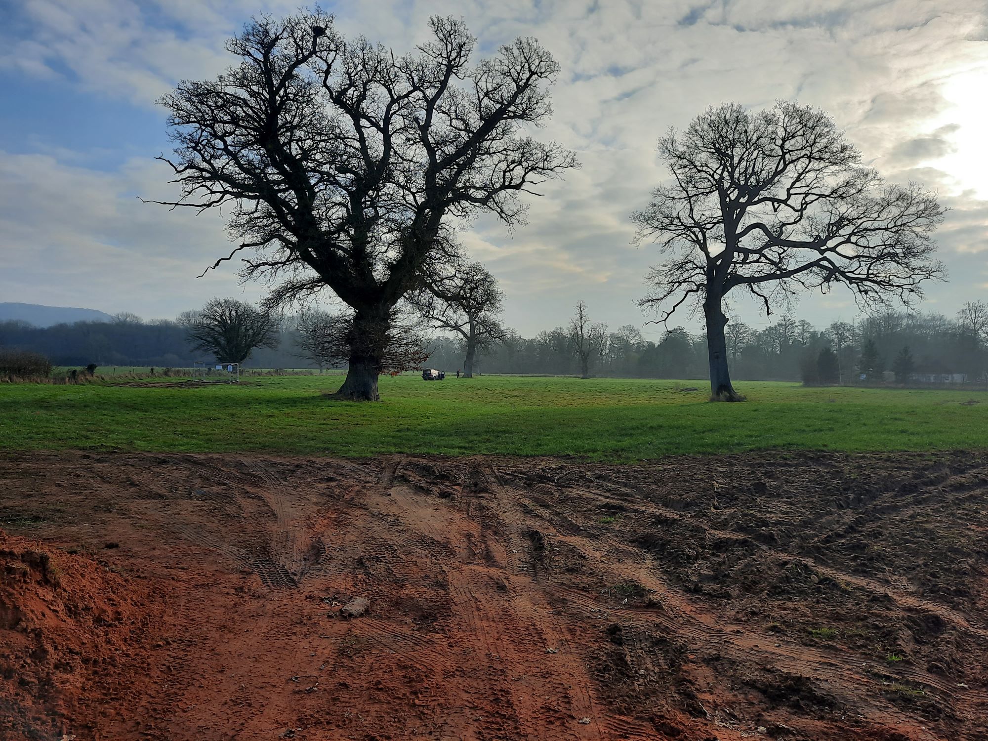 Contributing to society